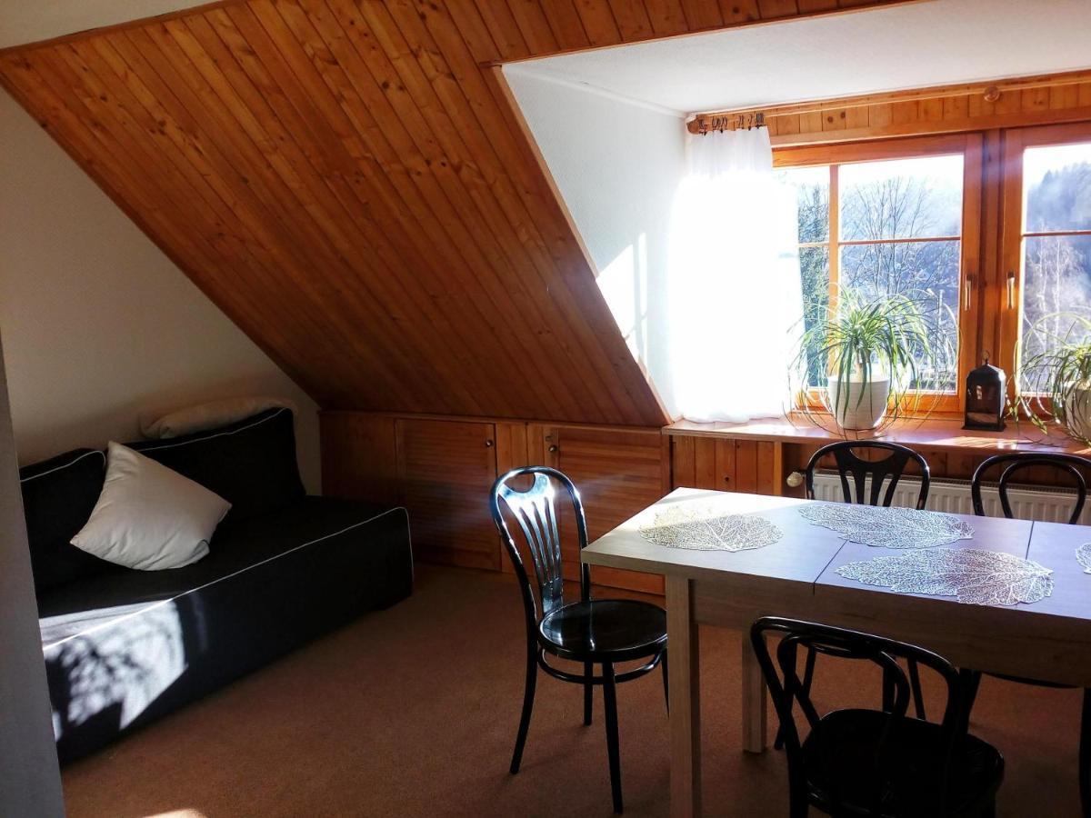 Apartamencik na Słonecznej Piechowice  Zewnętrze zdjęcie