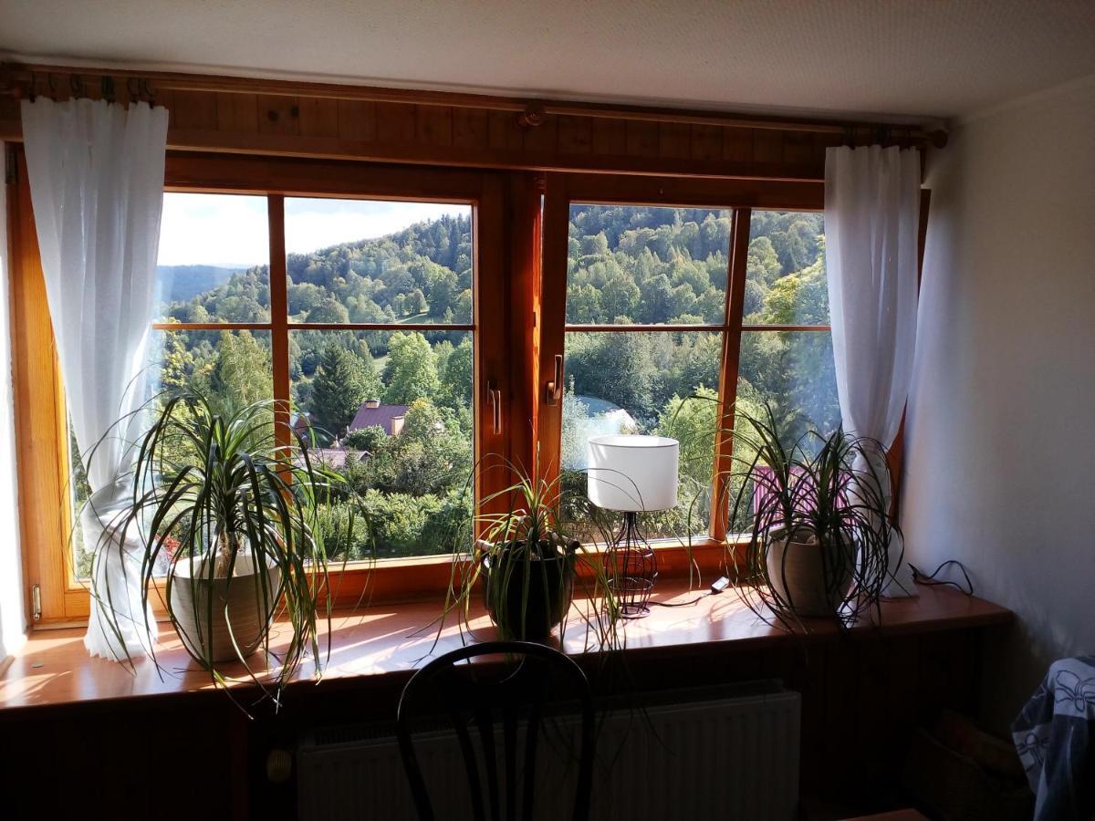 Apartamencik na Słonecznej Piechowice  Zewnętrze zdjęcie